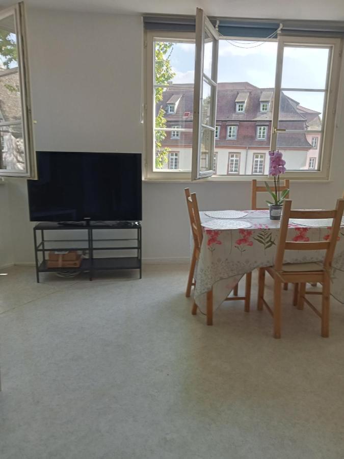 Appartement Au Coeur De La Petite France Straatsburg