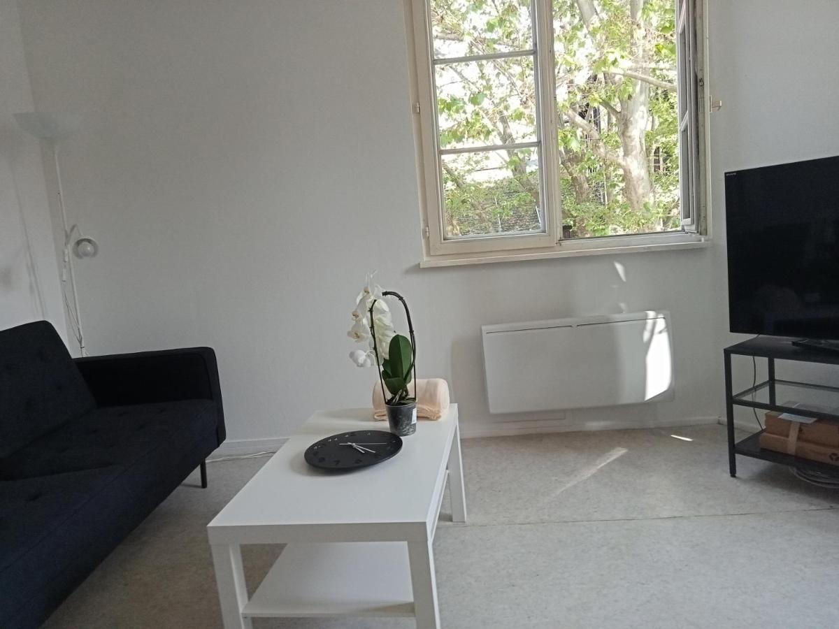 Appartement Au Coeur De La Petite France Straatsburg